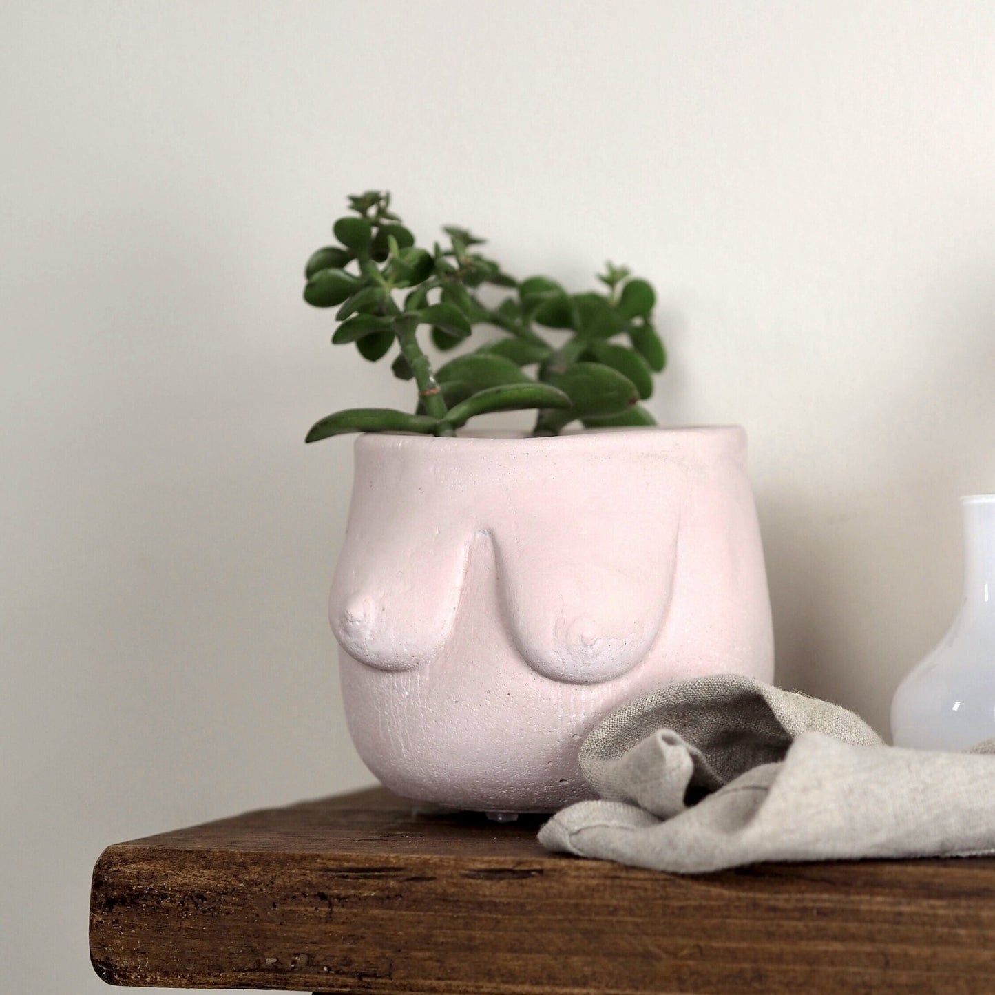 Concrete Boob Planter/Pot