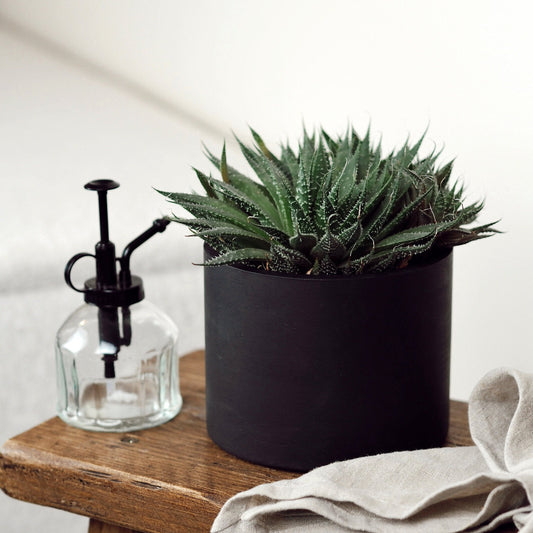 Matte Black Concrete Plant Pot