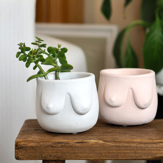 Concrete Boob Planter/Pot
