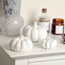Load image into Gallery viewer, White Concrete Pumpkins 
