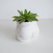 Load image into Gallery viewer, Concrete Bum Planter
