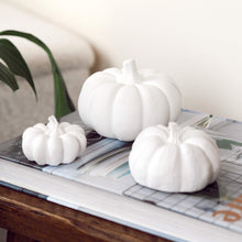Load image into Gallery viewer, Large Concrete Pumpkin Decoration
