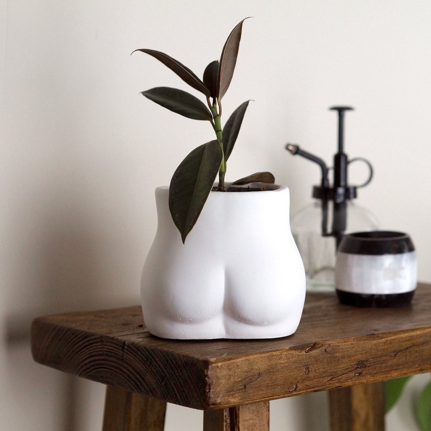 Concrete Bum Planter\Pot
