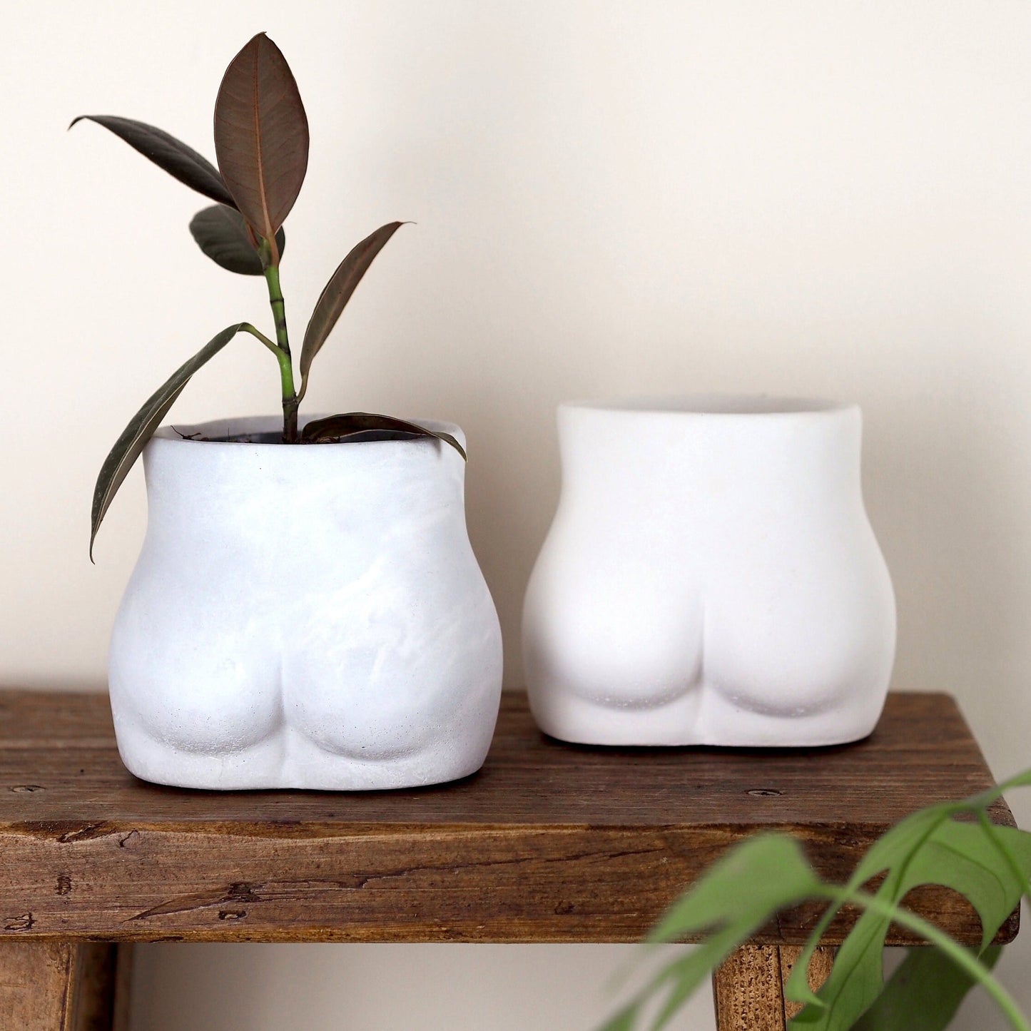 Concrete Bum Planter\Pot