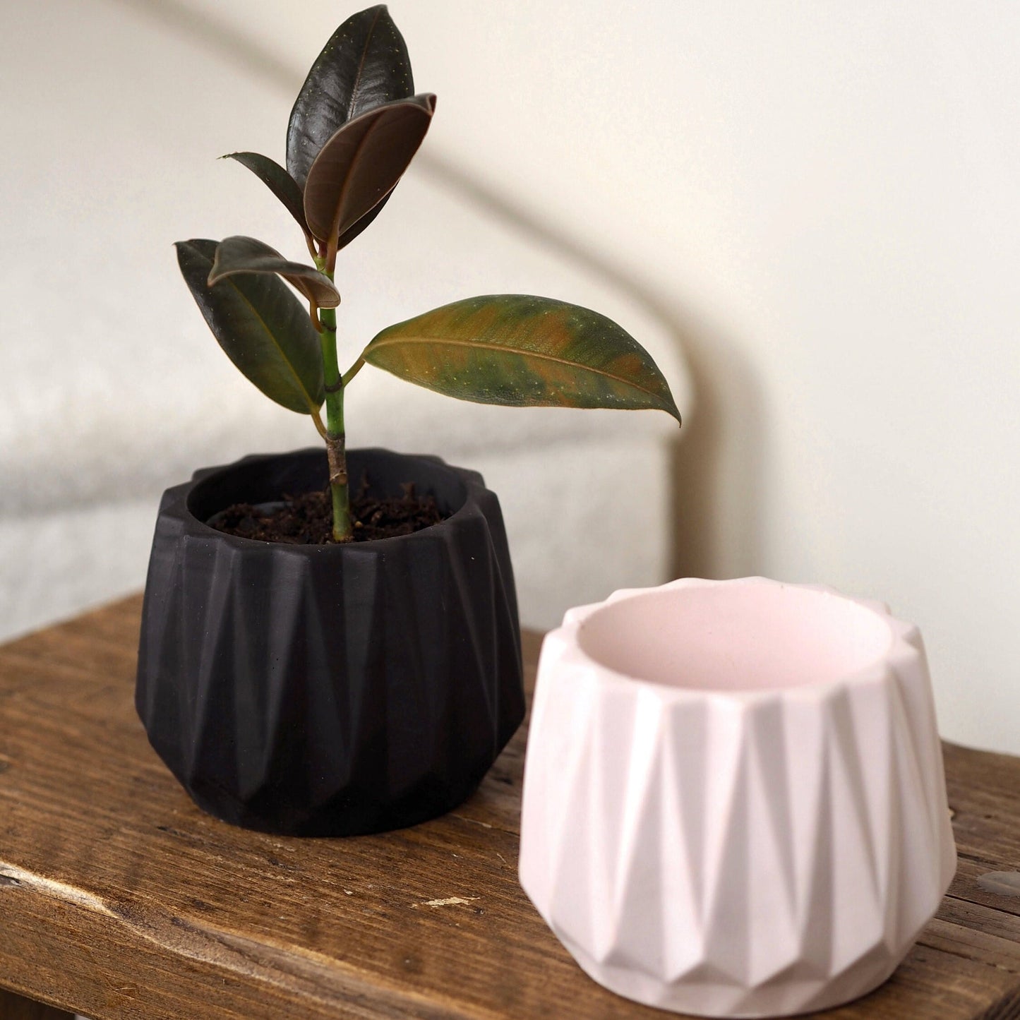 Concrete Faceted Planter