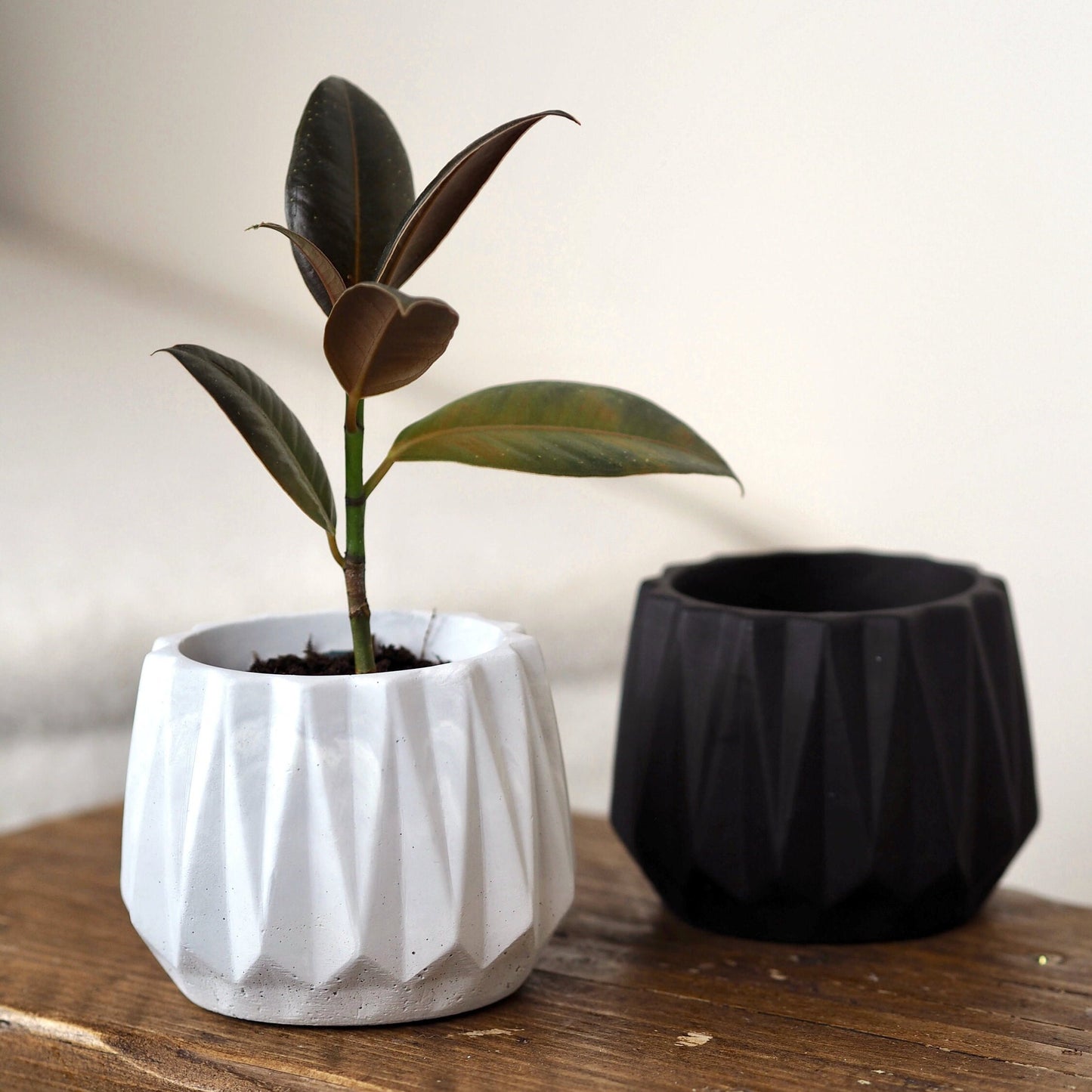 Concrete Faceted Planter