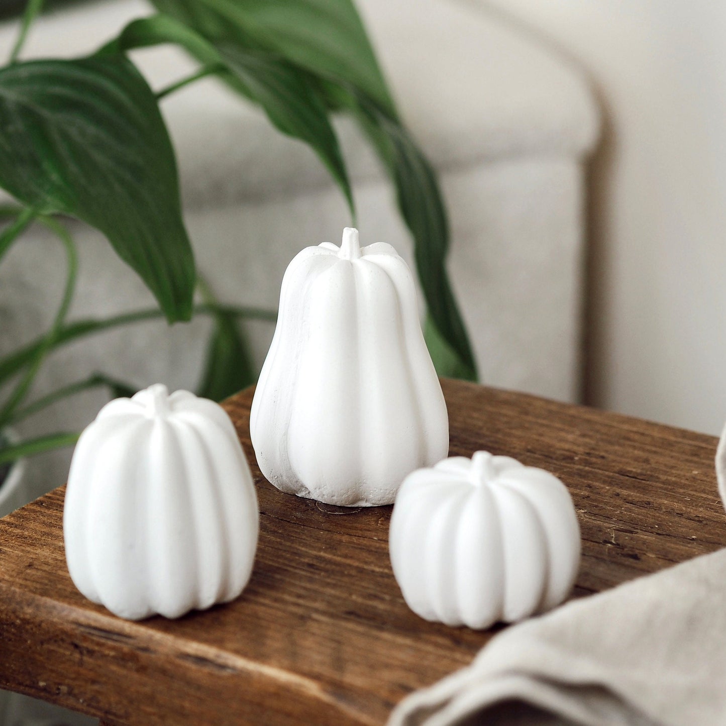 Concrete Squash/Pumpkin Trio