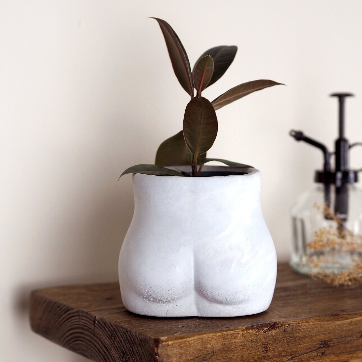 Concrete Bum Planter\Pot