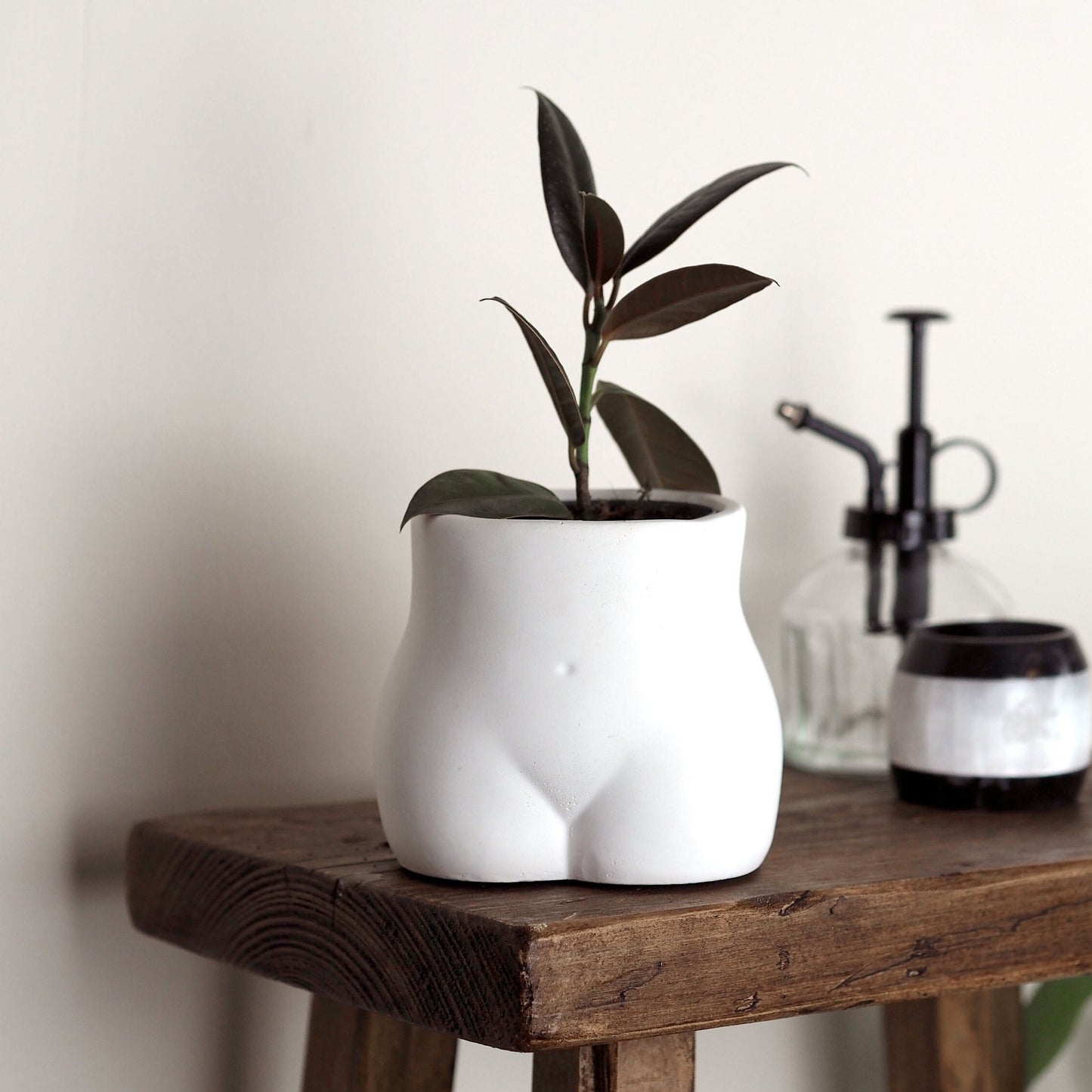 Concrete Bum Planter\Pot
