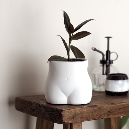 Concrete Bum Planter\Pot