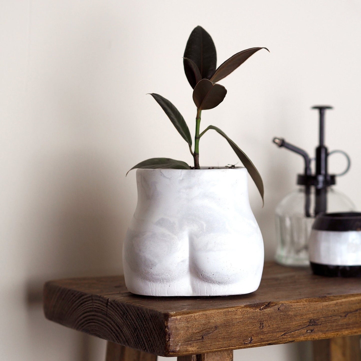 Concrete Bum Planter\Pot