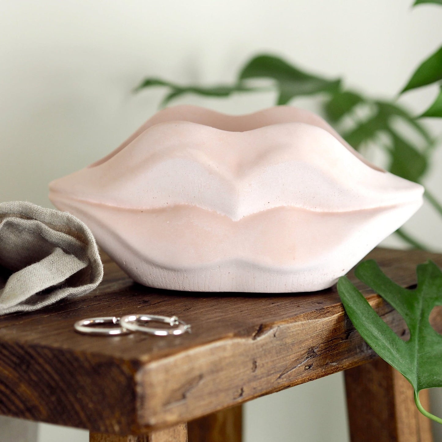 Concrete Lip Planter