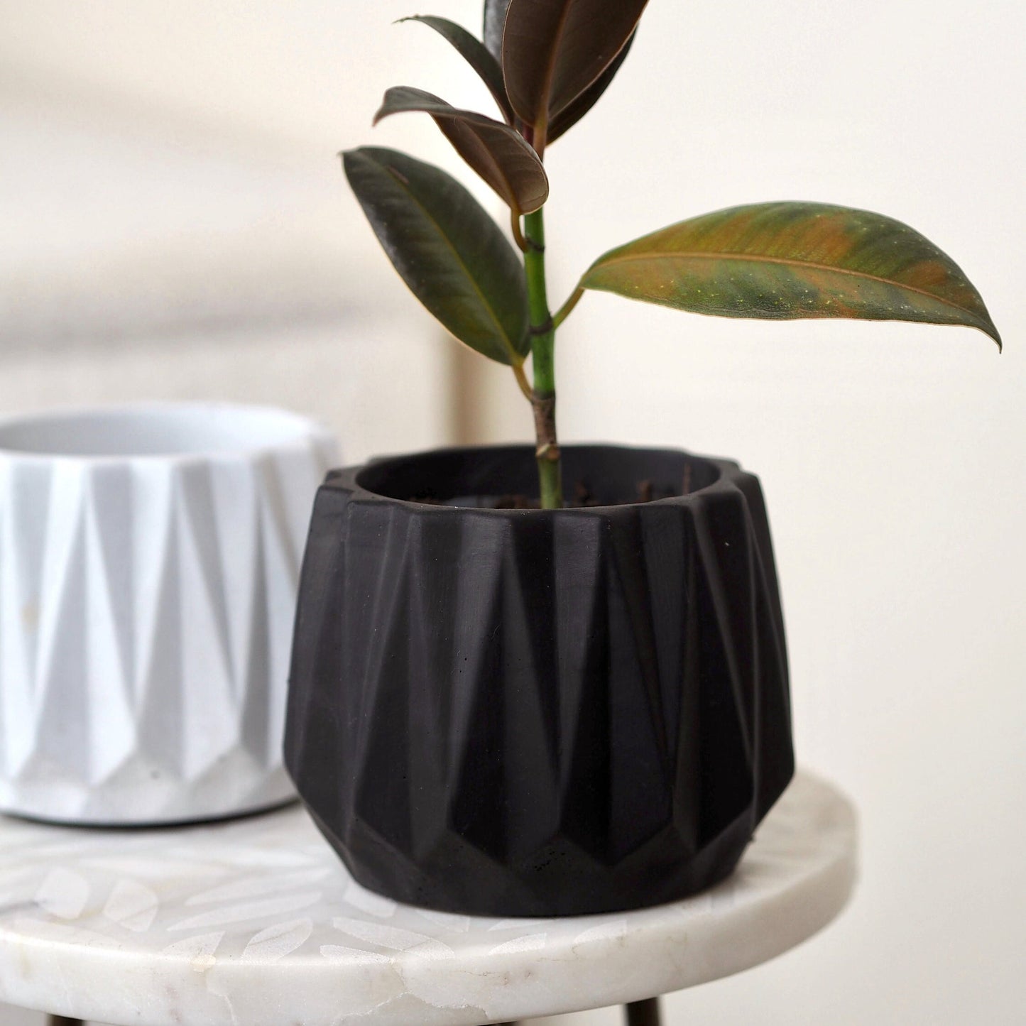 Concrete Faceted Planter