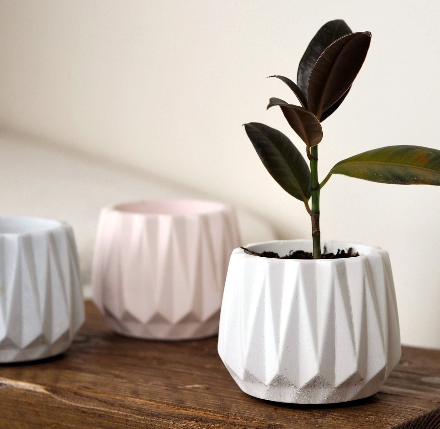 Concrete Faceted Planter