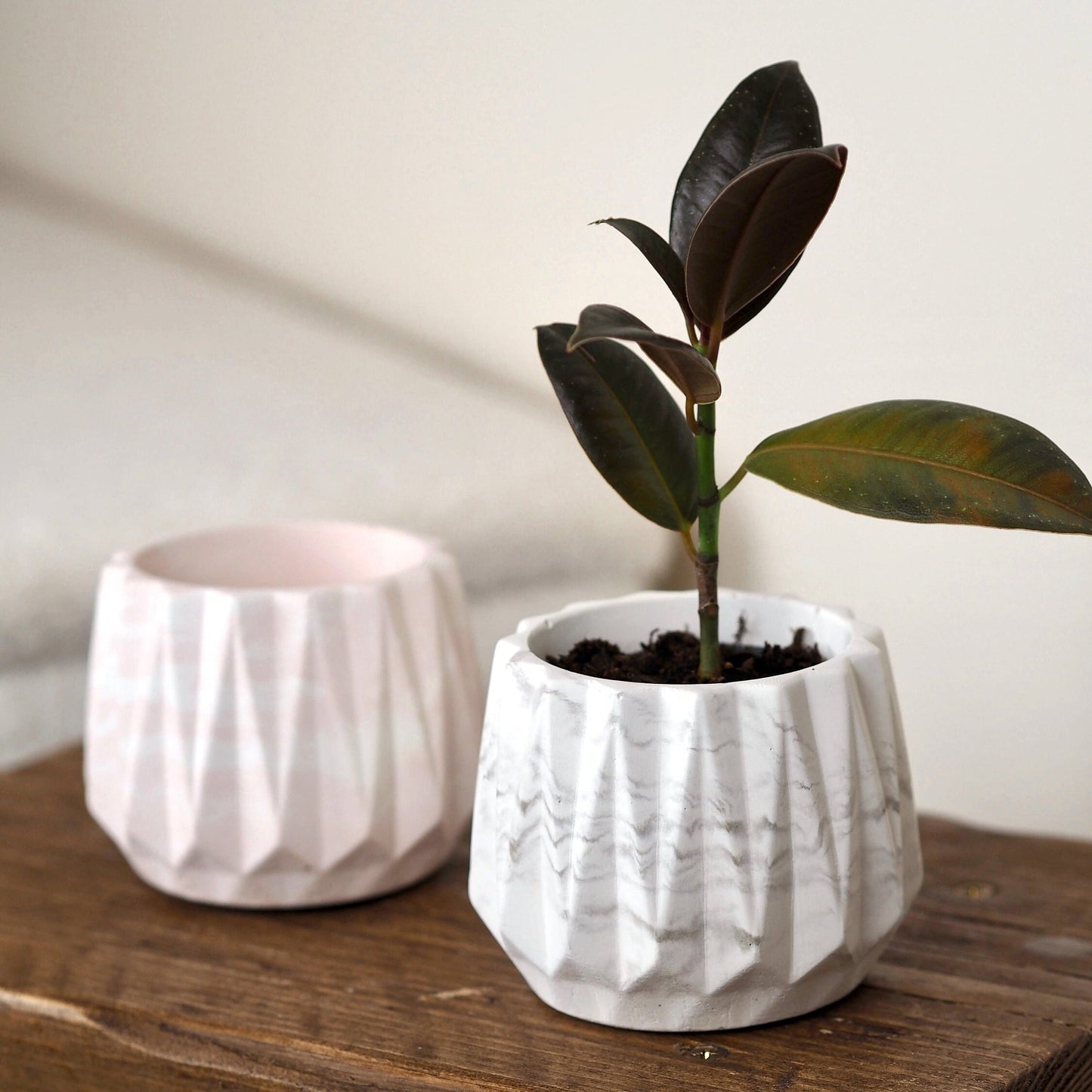 Concrete Faceted Planter