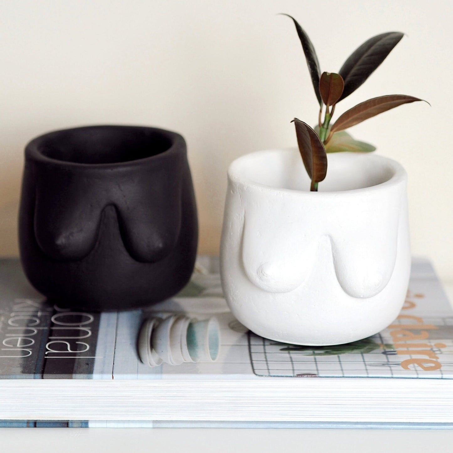 Concrete Boob Planter/Pot