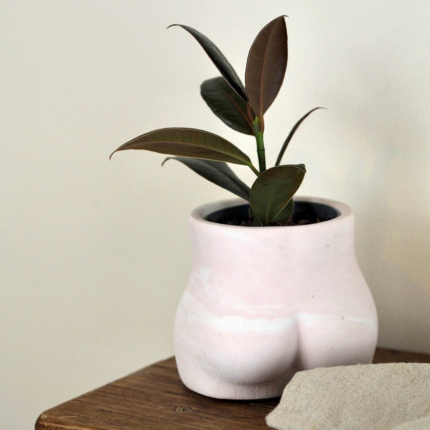 Concrete Bum Planter\Pot