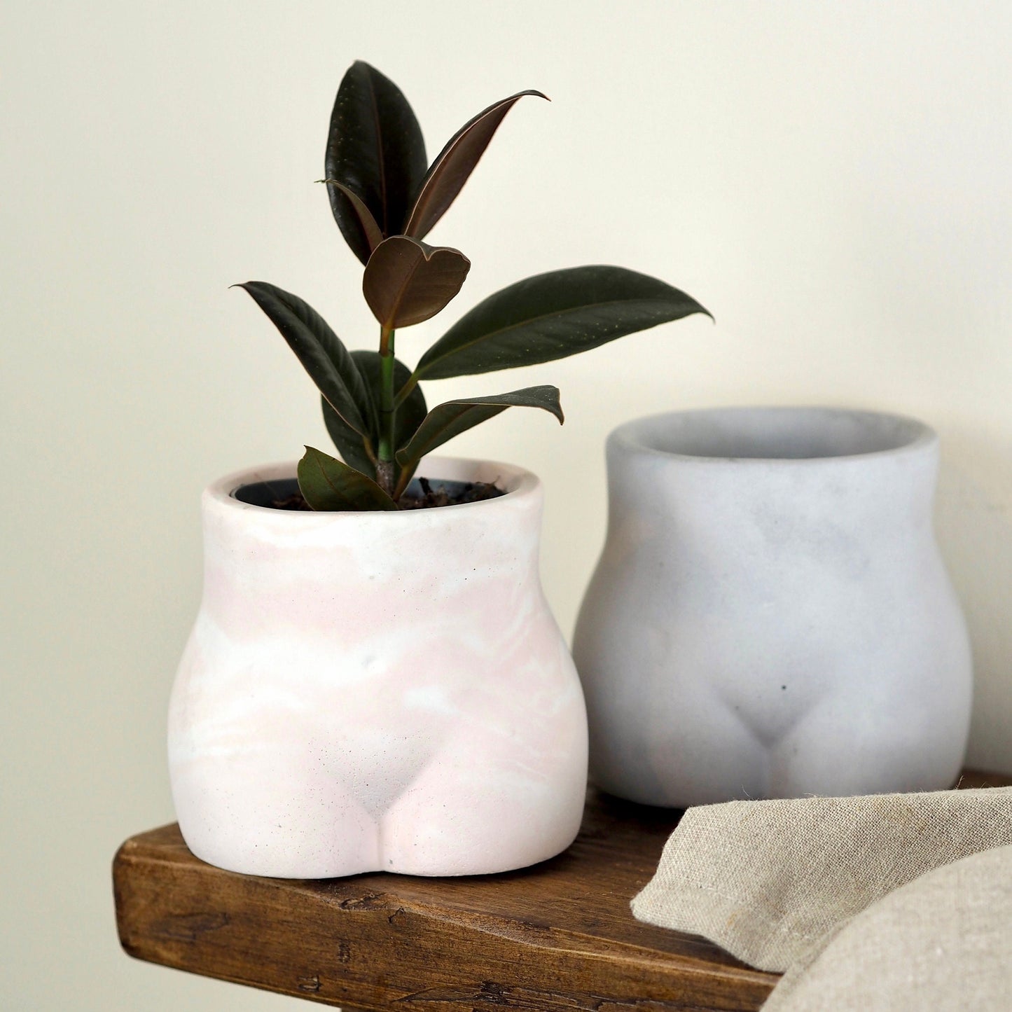 Concrete Bum Planter\Pot