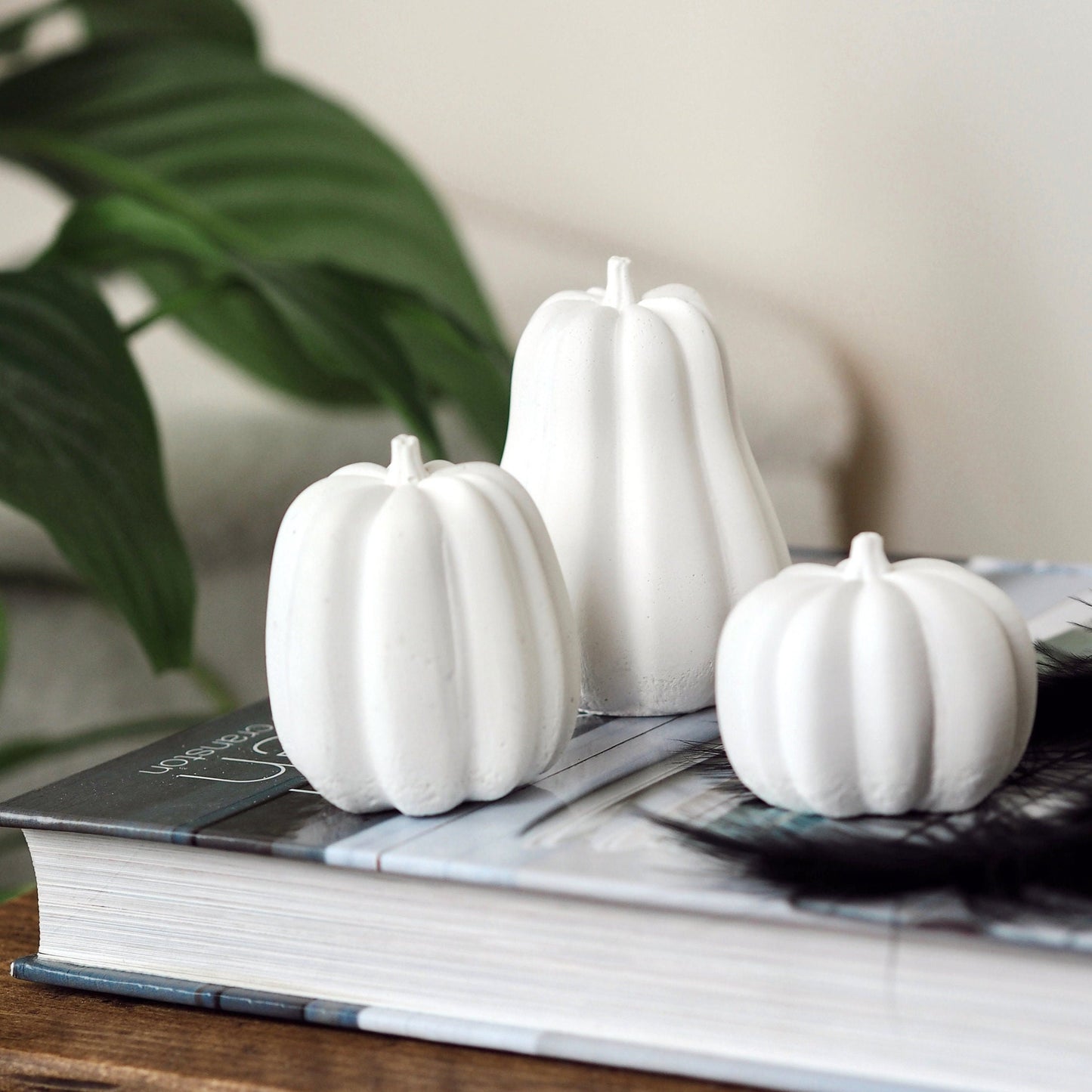 Concrete Squash/Pumpkin Trio