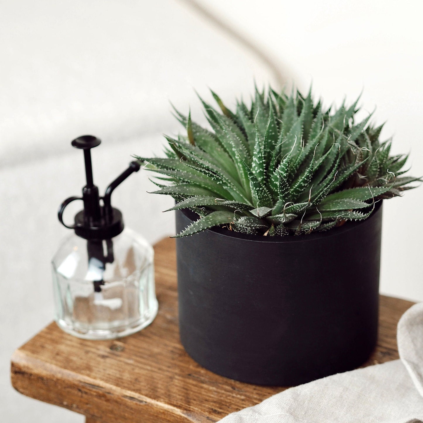 Matte Black Concrete Plant Pot
