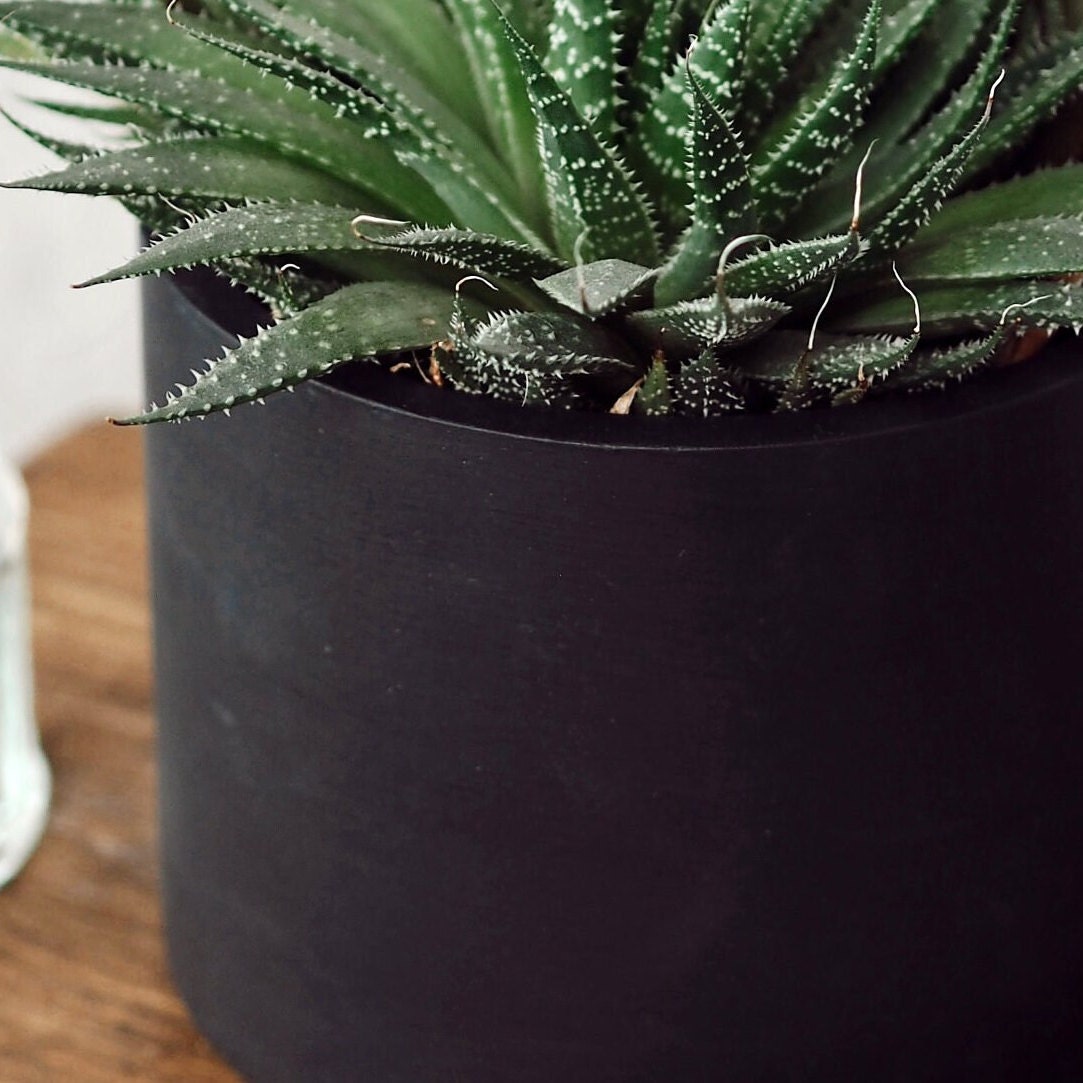 Matte Black Concrete Plant Pot