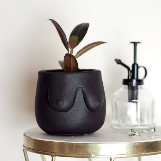 Concrete Boob Planter/Pot