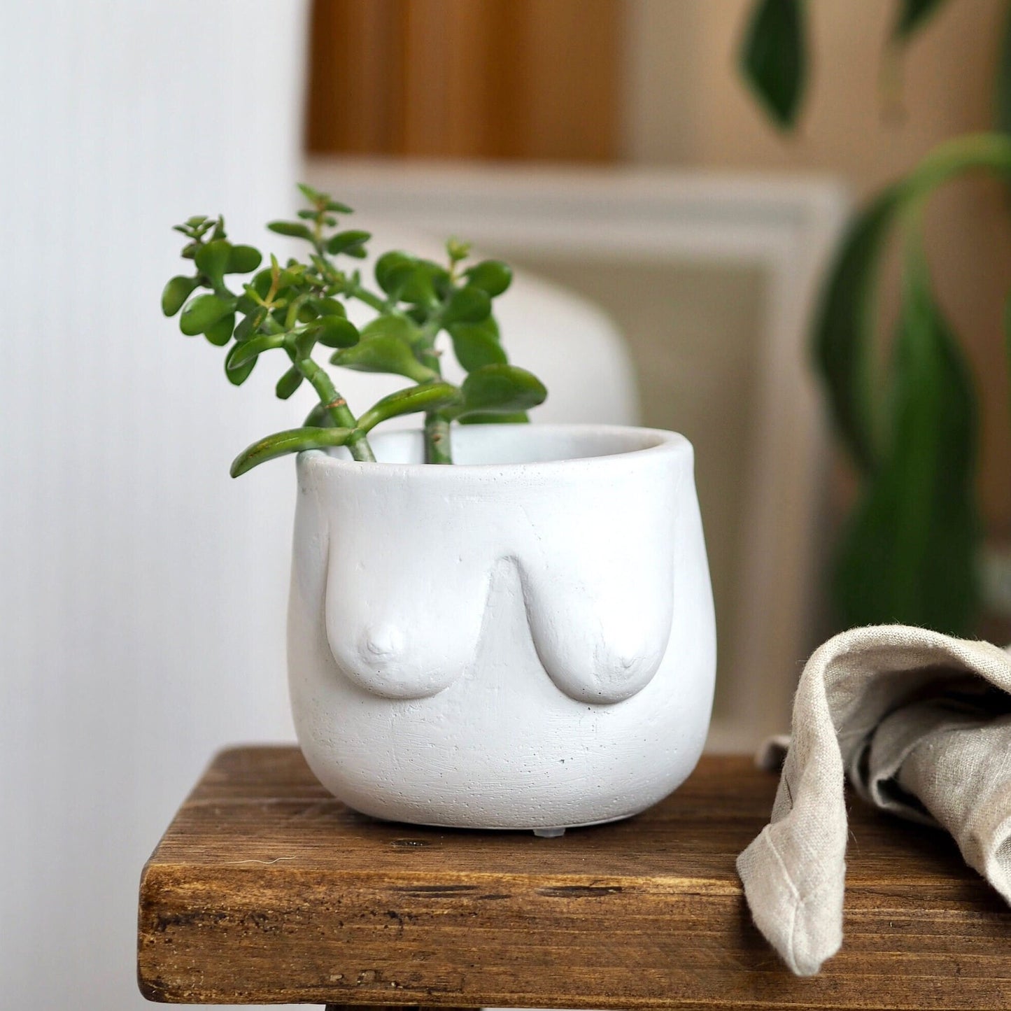 Concrete Boob Planter/Pot