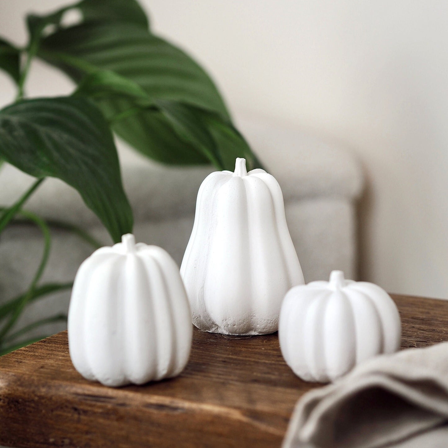 Concrete Squash/Pumpkin Trio