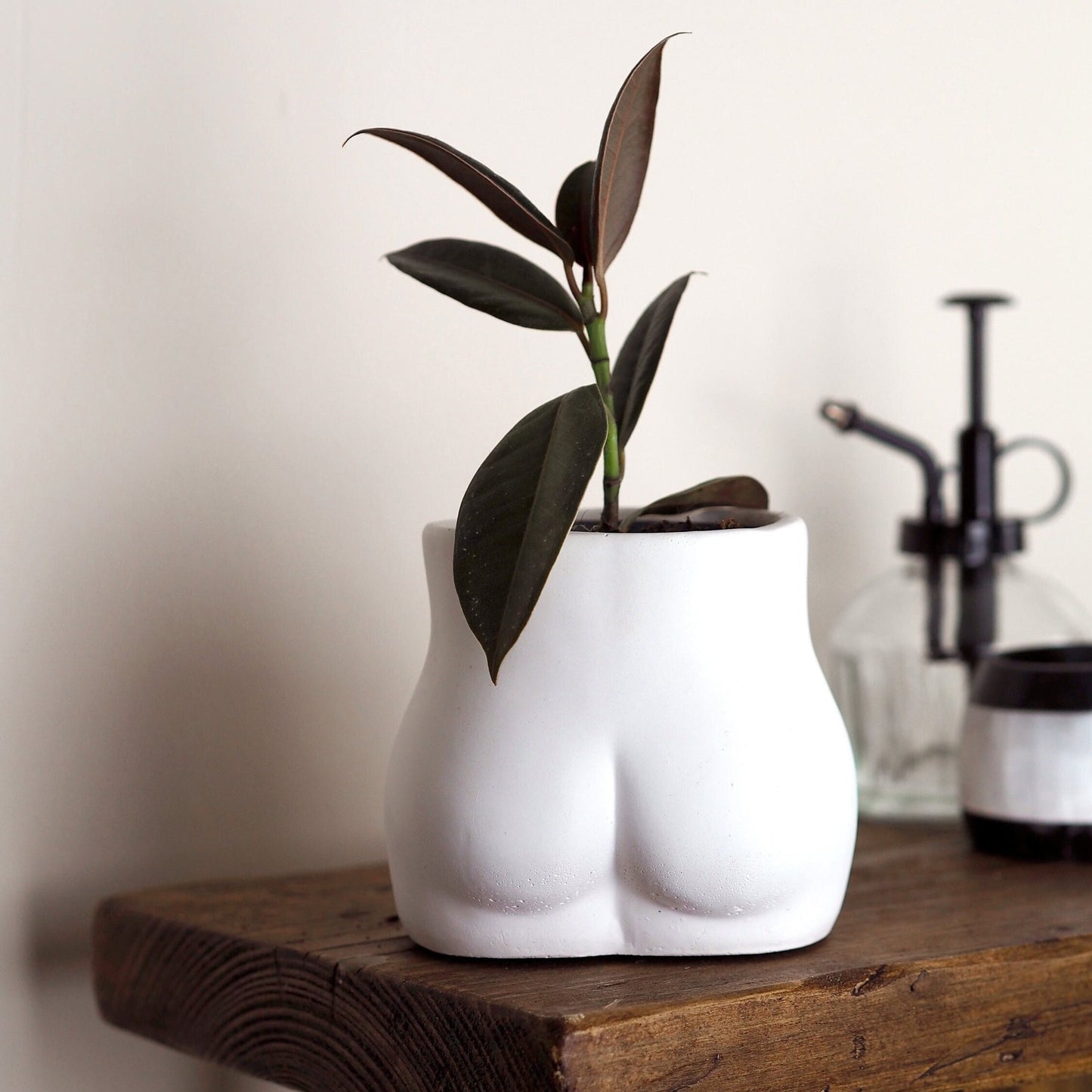 Concrete Bum Planter\Pot