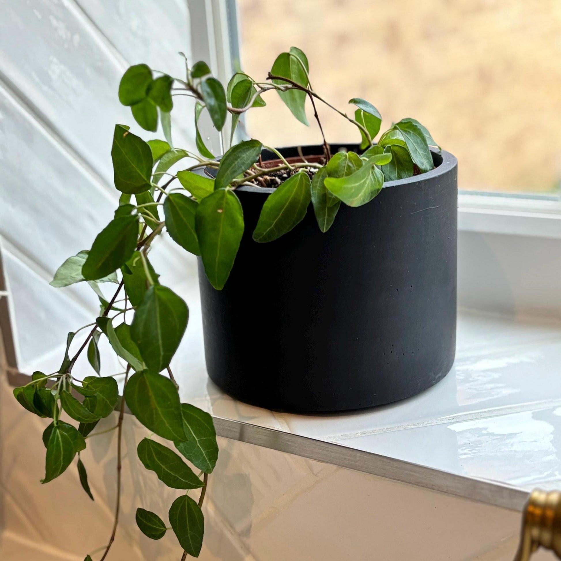 black matte plant pot Matte Black Concrete Plant Pot – FeatheredOak