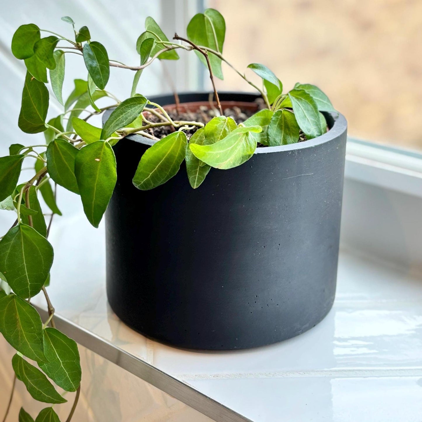 Matte Black Concrete Plant Pot