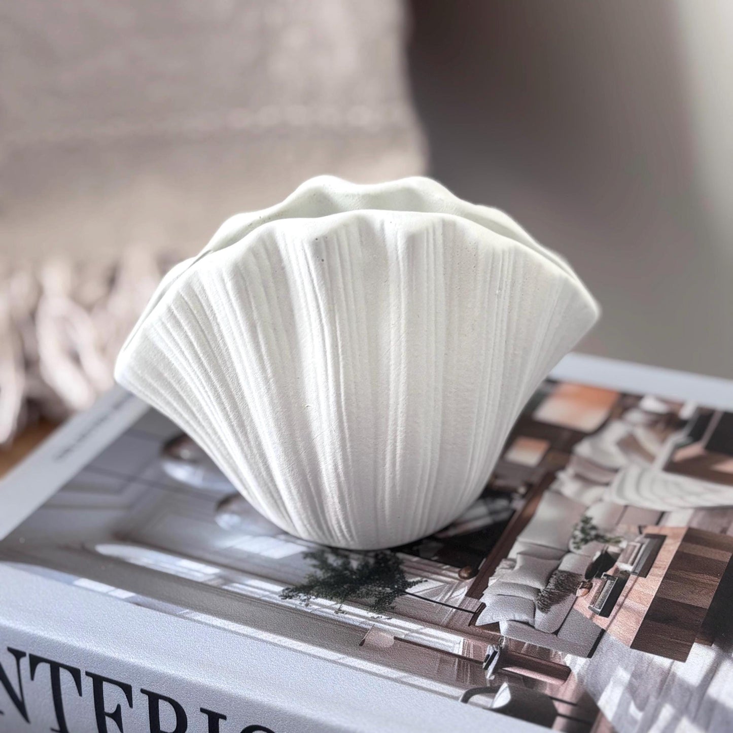 Concrete Shell Vase with Dried Gypsophila
