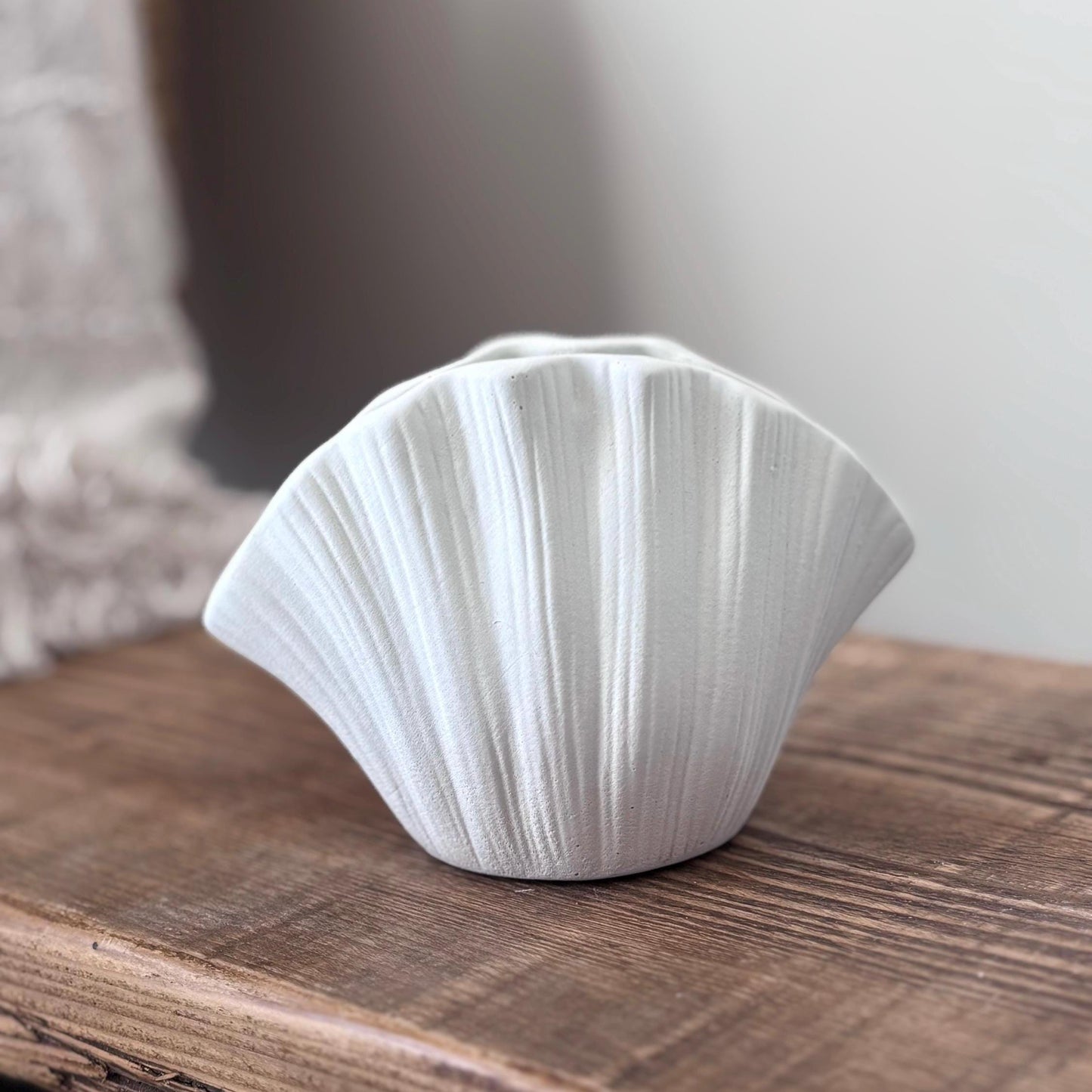 Concrete Shell Vase with Dried Gypsophila