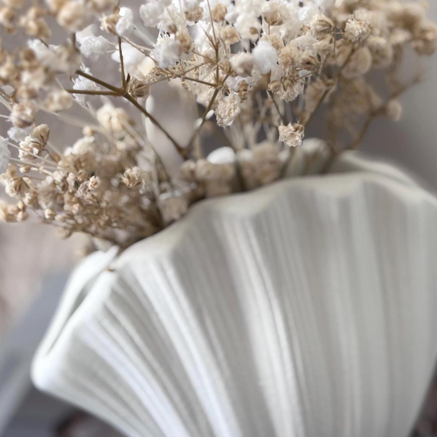 Concrete Shell Vase with Dried Gypsophila