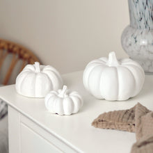 Load image into Gallery viewer, White Concrete Pumpkins 
