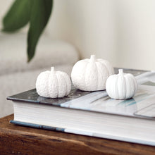Load image into Gallery viewer, Concrete Pumpkins
