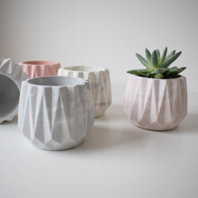 Load image into Gallery viewer, Concrete Faceted Geo Planter
